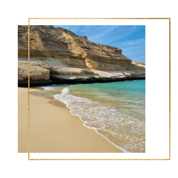 Kopie von Nele Template Qantab